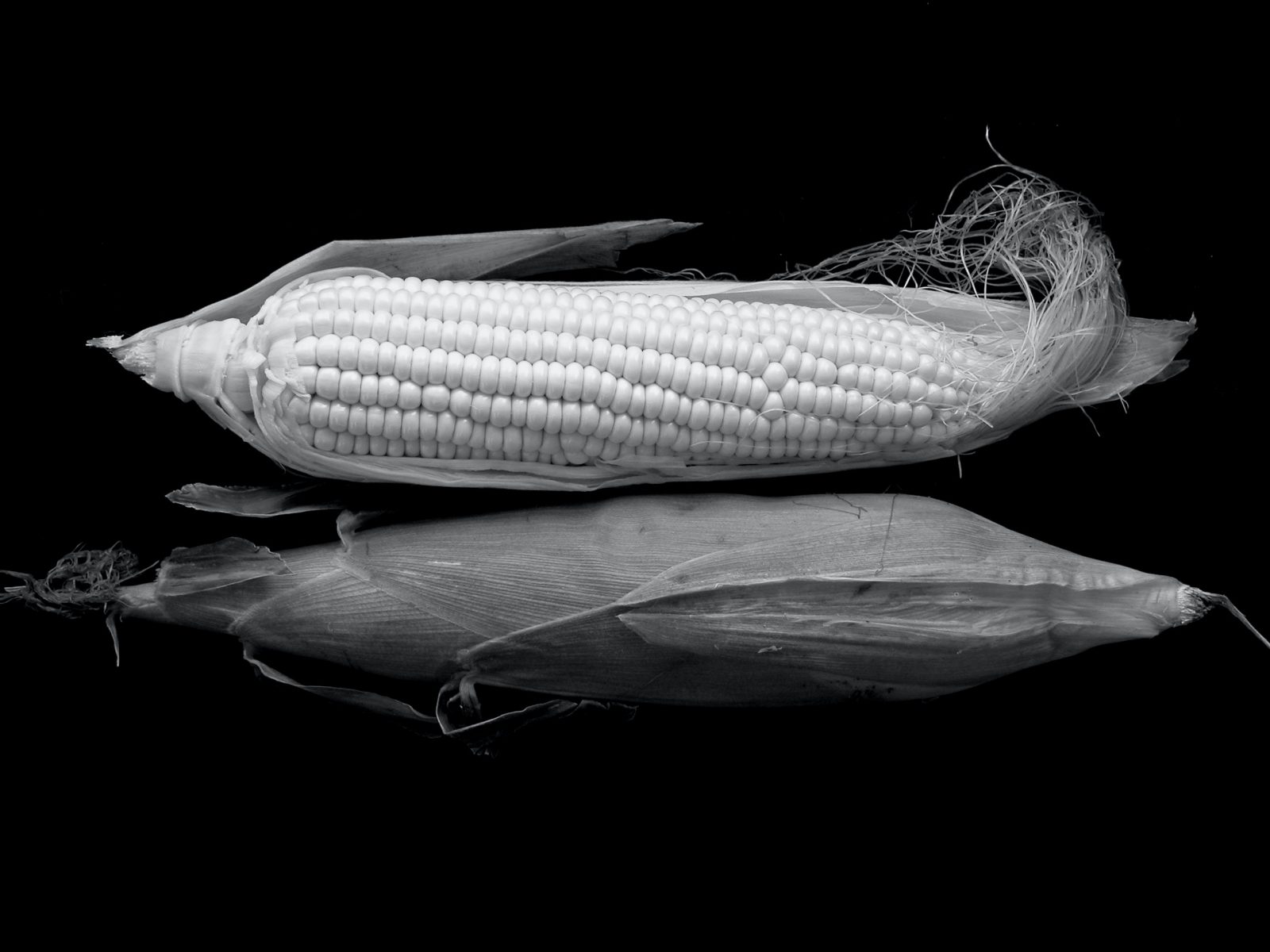 grayscale photo of corn on black surface